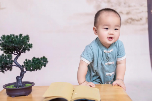范县可爱的企鹅宝宝